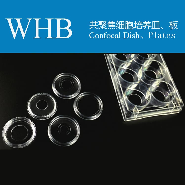 Glass Bottom Cell Culture Dish _ Plate